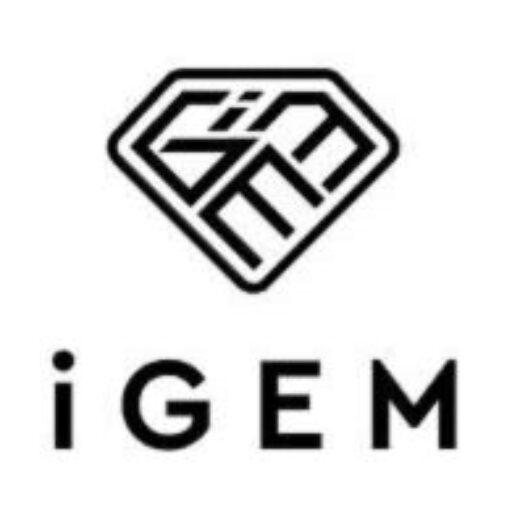iGem Ltd